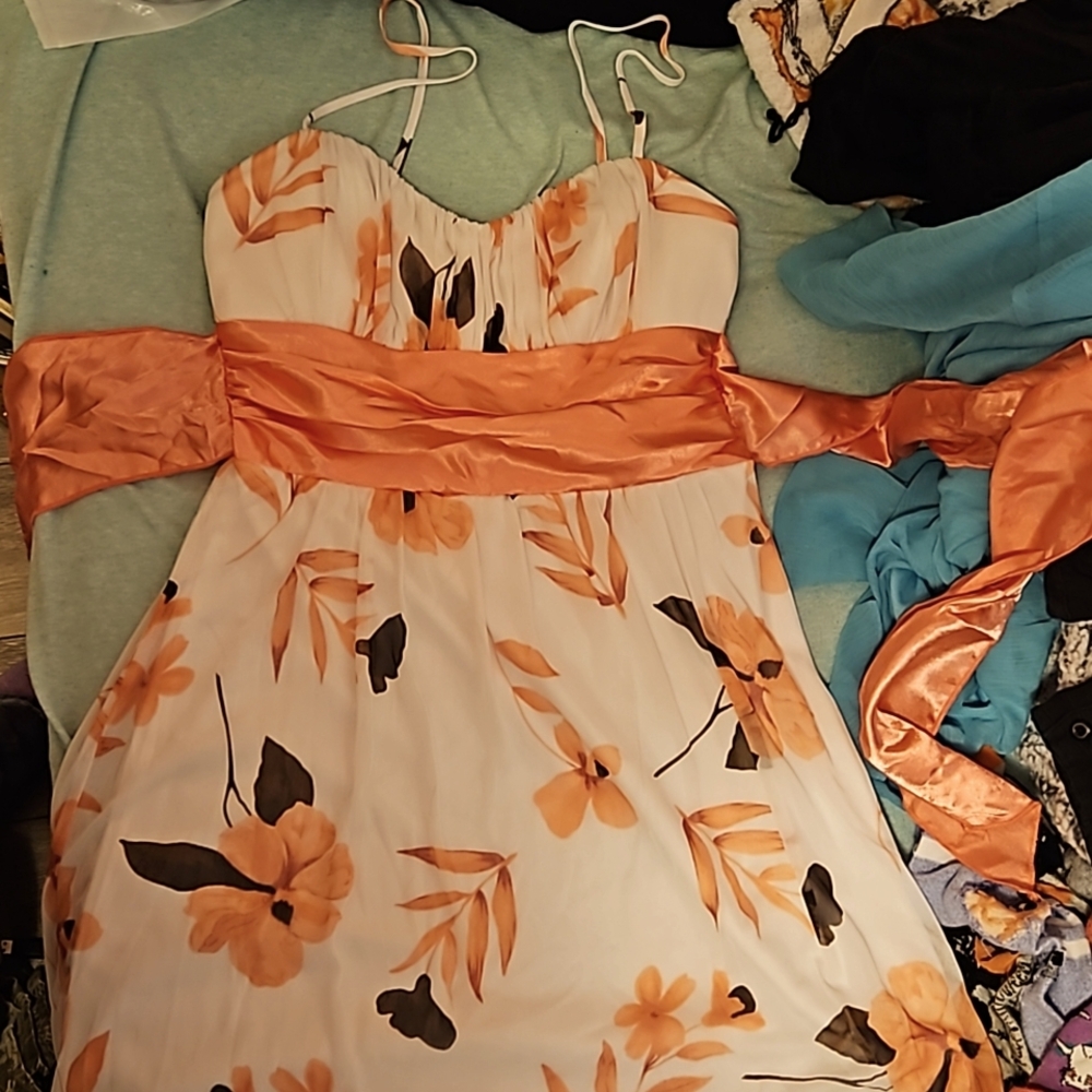 Speechless dress